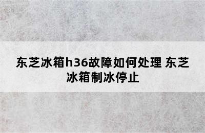 东芝冰箱h36故障如何处理 东芝冰箱制冰停止